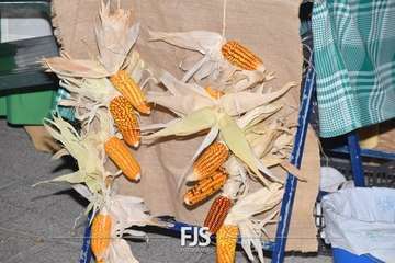 Noche de Tradiciones en Lomo Magullo/Francisco Javier Santana.